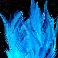 Hackle Feathers