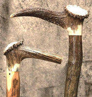 Crown Antler Top Cane