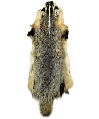 Badger Pelt w/ Feet