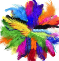 5" Feathers Craft Pack