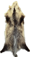 Opossum Pelt  22"