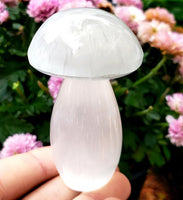 4"Selenite Mushroom Crystal