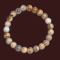 Picture Jasper Stretch Bracelet - 8mm Round