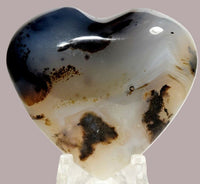 Agate Fern Heart sm 1"