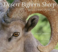 The Desert Bighorn Sheep: Wilderness Icon