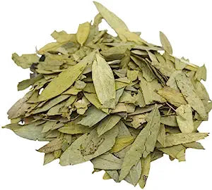 Senna Leaf (Dried 1 oz.)