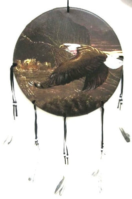 Shield - Eagle 6"