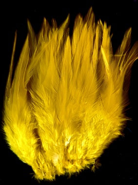 Yellow Brite Hackles 5-6"