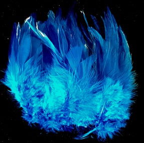 Lt Brite Hackles 5-6 Turq Blu