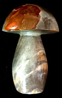 Polychrome Jasper Mushroom .90-.94 lbs