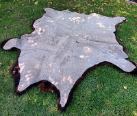 Buffalo Hide - 80"x 74"