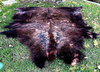 Buffalo Hide - 84"x 64"