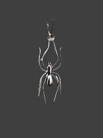 SS Spider Pendant