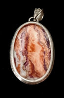 SS Lion Paw Jasper Pendant