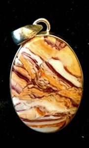 Lion Paw Jasper Pendant  2"L x 1"W