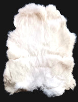 Rabbit Pelts White