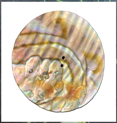 55mm Abalone Button 2" 2 hole