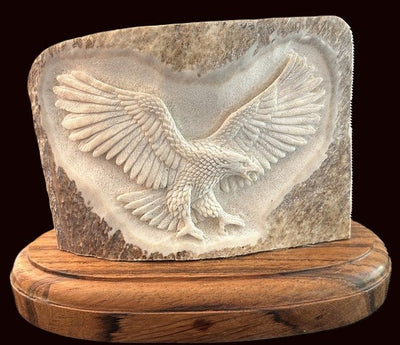 Moose Antler Eagle Carved 7"X 5"