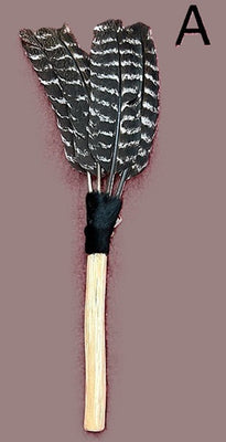 4-Feather Turkey Fan-