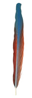 14"-17" Scarlet Macaw Feathers