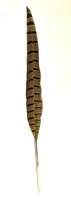 Pheasant Feather Medium