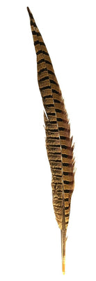 Pheasant Feather Long