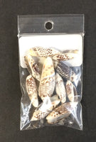 Olive Shell 10 per bag