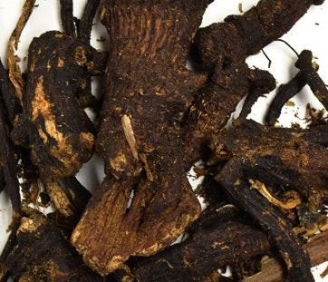 Osha Root (dried 1 oz)