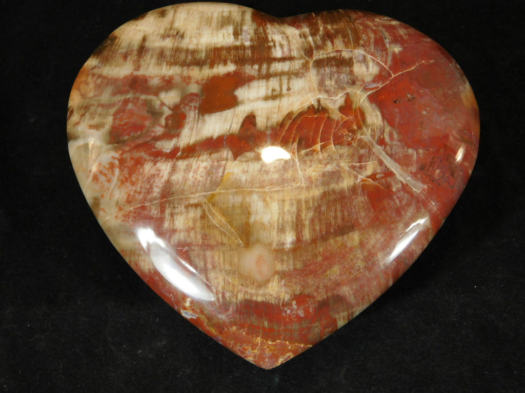 Gemstone Heart - Petrified Wood, Small